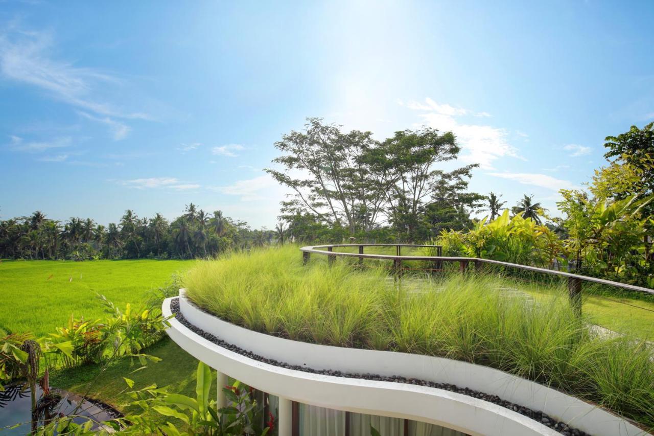Mango Ubud 外观 照片